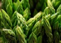 Asparagus Tips