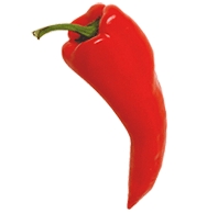 Red Chilli Pepper