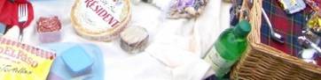 Picnic with cheeses