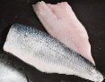 Sea Bass Fillets