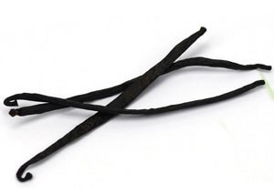 Vanilla Pod